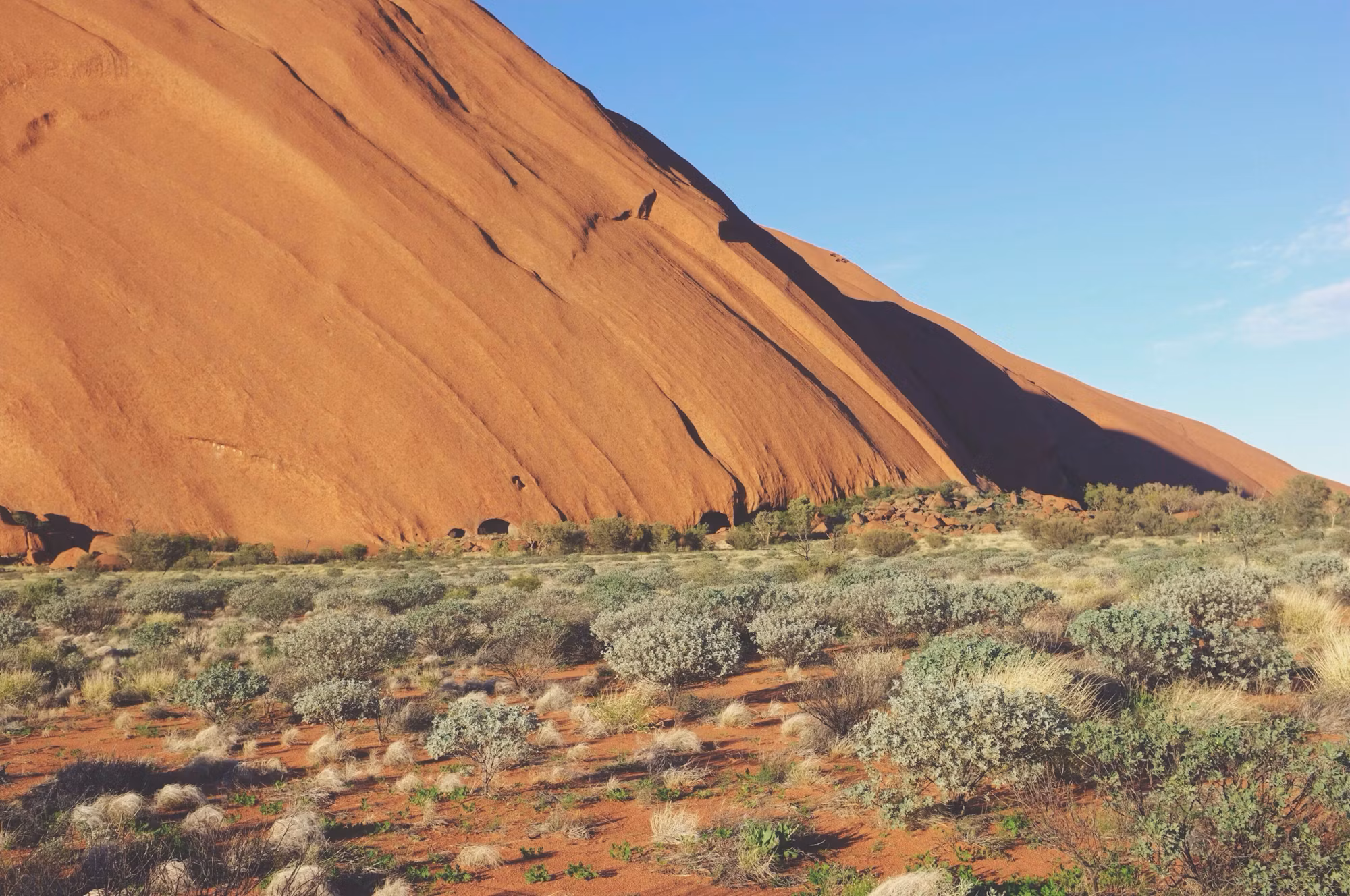 Dessert Traditions: A Sweet Exploration of Global Delicacies
